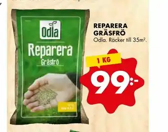 Reparera gräsfrö
