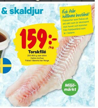 City Gross Torskfilé erbjuda