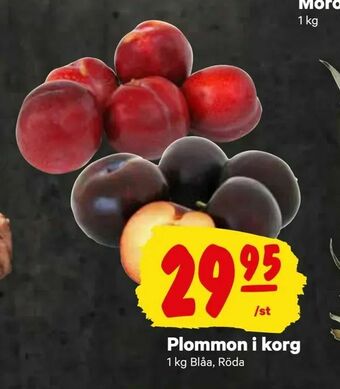 City Gross Plommon i korg erbjuda