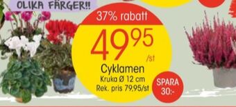 EKO Plantor erbjuda