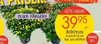 EKO Plantor erbjuda