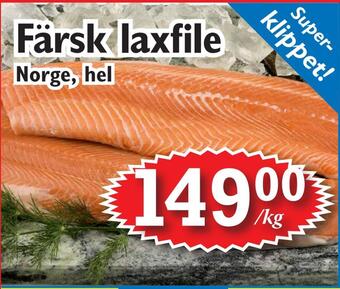 T-jarlen Färsk laxfile erbjuda