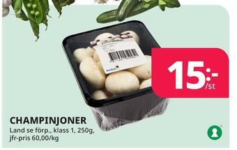 Tempo Champinjoner erbjuda