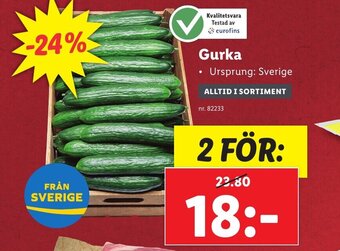 Lidl Gurka erbjuda