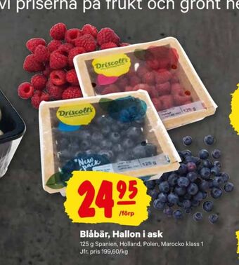 City Gross Driscolls blåbär erbjuda