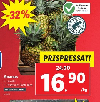 Lidl Ananas erbjuda