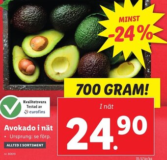 Lidl Avokado i nät erbjuda
