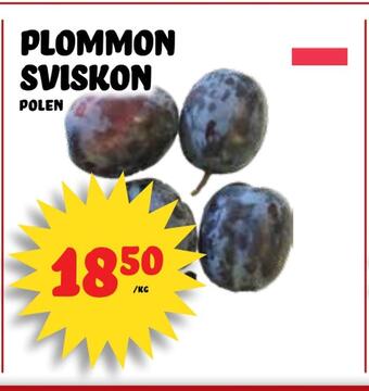 Nelins Plommon sviskon erbjuda