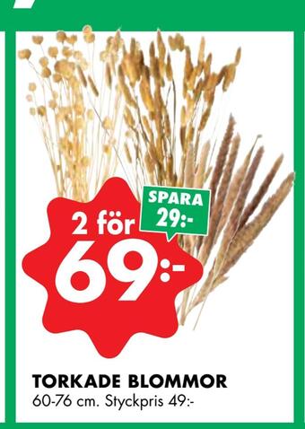 ÖoB Torkade blommor erbjuda