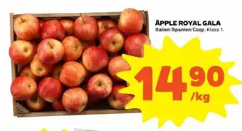 Coop Äpple Roya Gala erbjuda