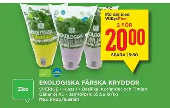 Willys Ekologiska färska kryddor erbjuda