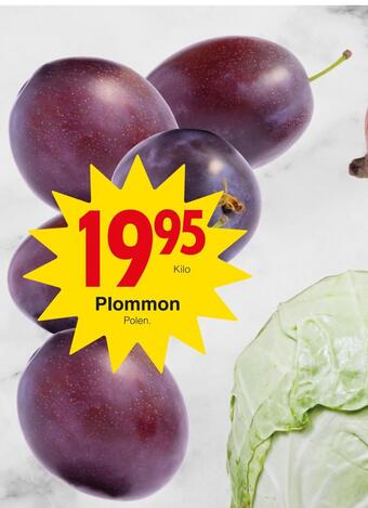 Matöppet Plommon erbjuda