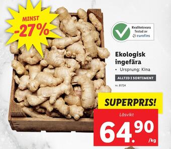 Lidl Ekologisk ingefära erbjuda