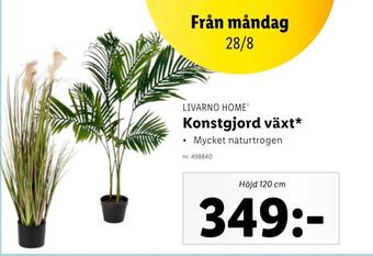 Lidl Konstgjord växt erbjuda