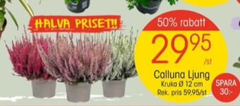 EKO Plantor erbjuda