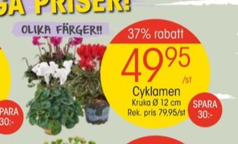 EKO Plantor erbjuda