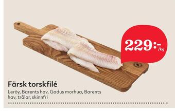 Färsk torskfilé