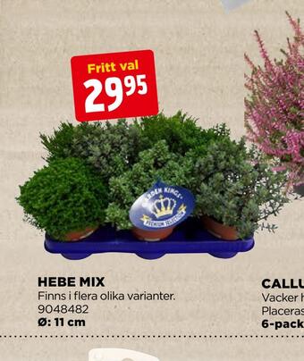 Jem&Fix Hebe mix erbjuda