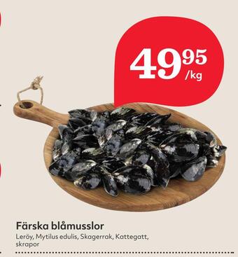 Hemköp Färska blåmusslor erbjuda
