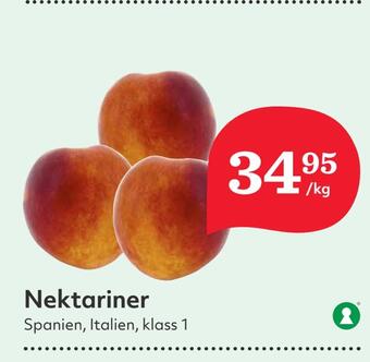 Hemköp Nektariner erbjuda