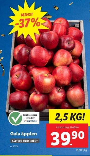 Lidl Gala äpplen erbjuda