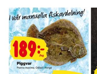 City Gross Fixa piggvar erbjuda