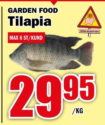 Matdax Tilapia erbjuda