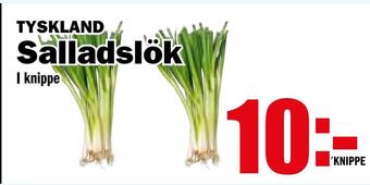Matdax Salladslök erbjuda