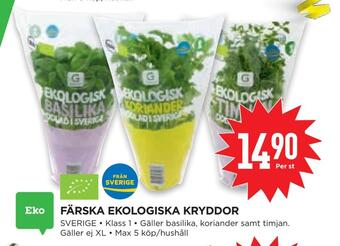 Willys Hemma Färska ekologiska kryddor erbjuda