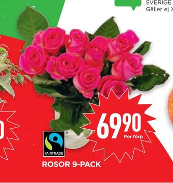 Willys Hemma Rosor 9-pack erbjuda