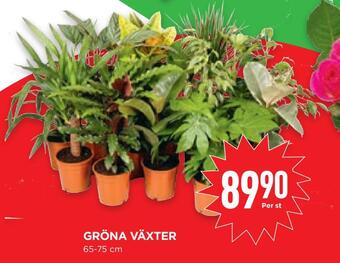 Willys Hemma Gröna växter erbjuda