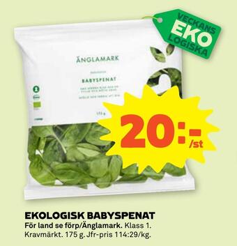 Stora Coop Ekologisk babyspenat erbjuda