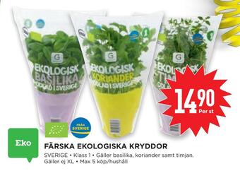 Willys Färska ekologiska kryddor erbjuda