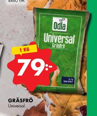 ÖoB Gräsfrö erbjuda