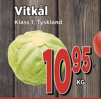 Supergrossen Vitkål erbjuda