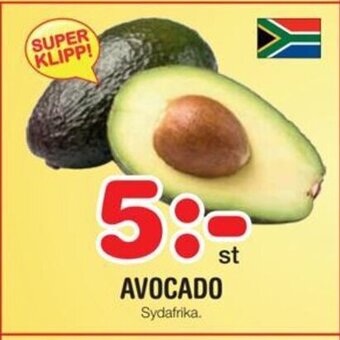 Nya Pulsen AVOCADO erbjuda