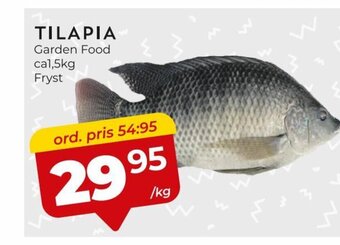 Matrix Butikerna TILAPIA erbjuda