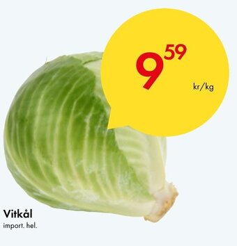 Snabbgross Vitkål erbjuda