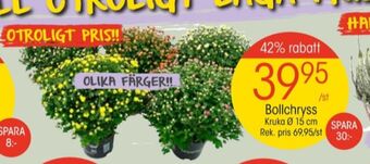 EKO Plantor erbjuda