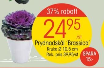 EKO Plantor erbjuda