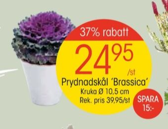 EKO Coca cola zero plantor erbjuda