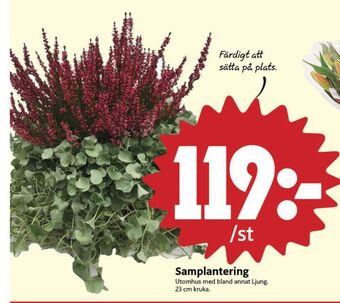 ICA Nära Ica plantor erbjuda