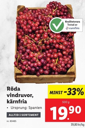 Röda vindruvor, kärnfria