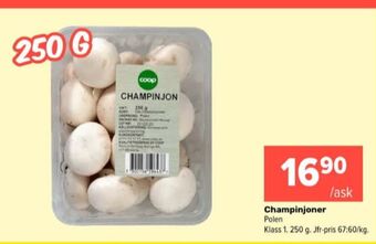Coop Extra Coop champinjoner erbjuda