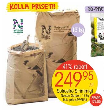 EKO Solrosfrö strimmigt erbjuda