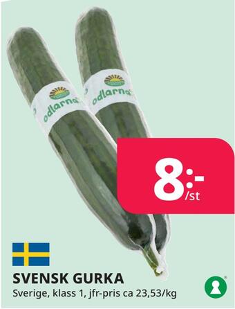 Tempo Svensk gurka erbjuda