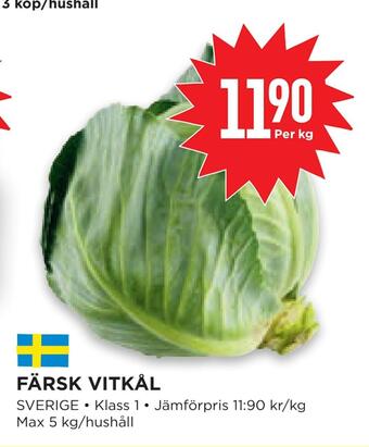 Färsk vitkål