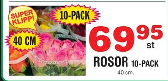Nya Pulsen Rosor 10-pack erbjuda