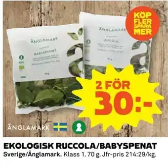 Coop Ekologisk Ruccola/Babyspenat 70g erbjuda