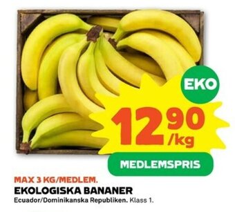 Ekologiska Bananer